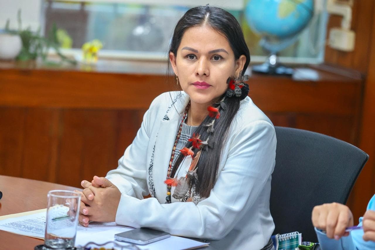 Silvana Robles: "El Senado no puede darle la espalda a los pueblos originarios"