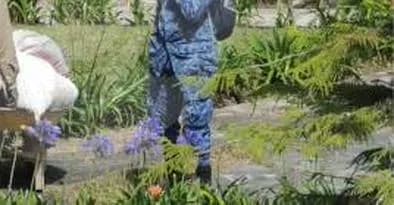 Colombia construye la primera cárcel agrícola indígena: justicia propia, tulpa y reintegración cultural