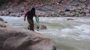 La veda del sábalo obliga a pueblos indígenas a buscar otros ingresos