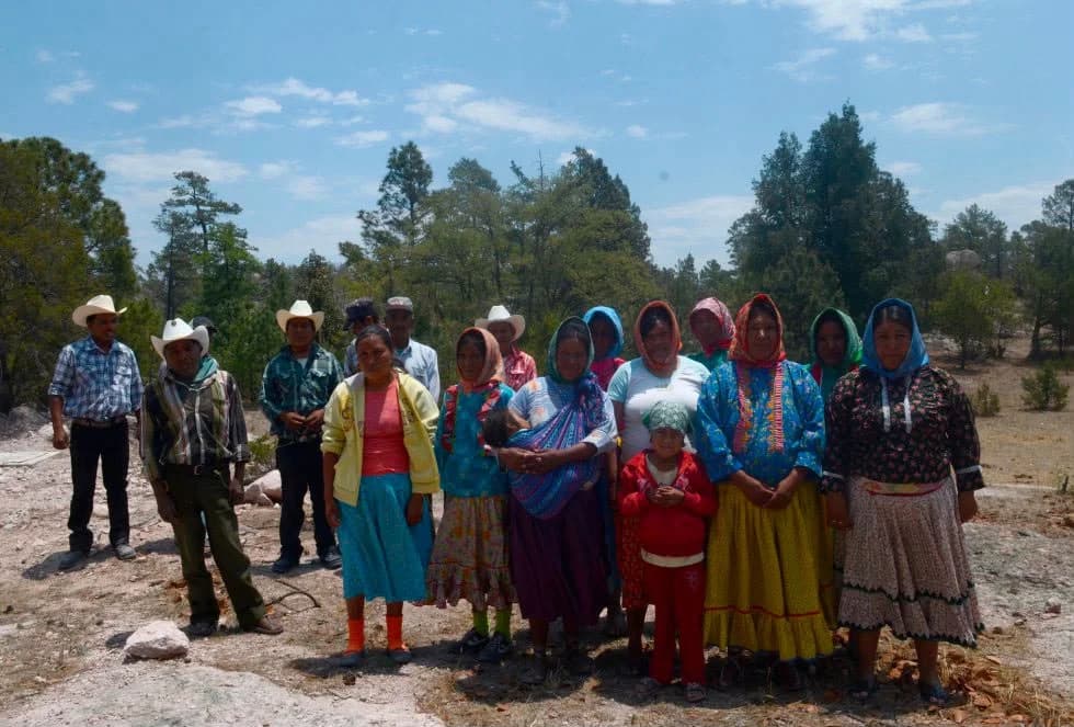 Acusan indígenas de Guachochi a 4T de usarlos para hacer negocio