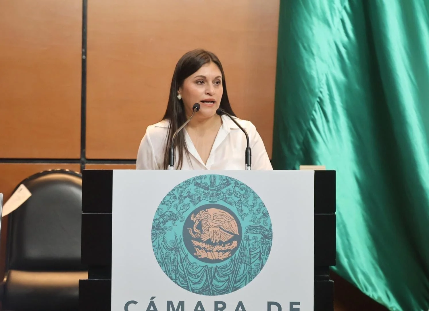 Pide Rocío González auditar a Bienestar por recursos a comunidades indígenas y afromexicanas