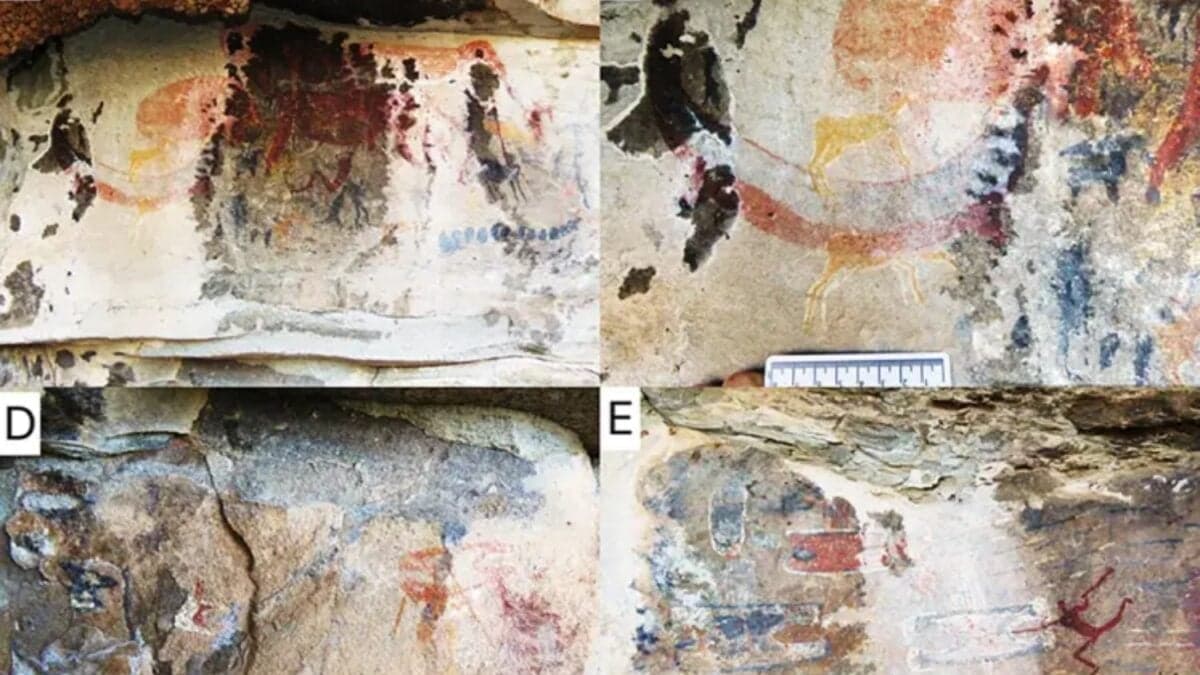 Antes de la paleontología moderna, alguien ya había visto a ese animal. La pintura rupestre que podría adelantar miles de años nuestro “descubrimiento” de una especie extinta