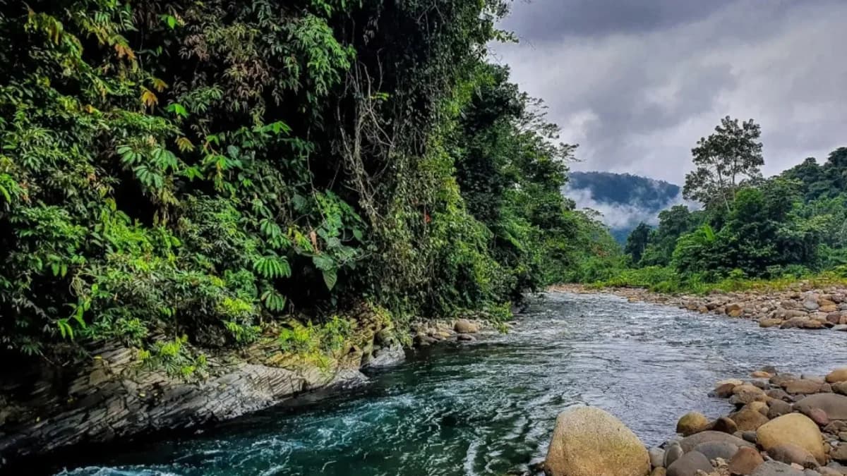 Advierten sobre posibles modificaciones a reglas de protección de áreas naturales y pueblos indígenas en facultades legislativas
