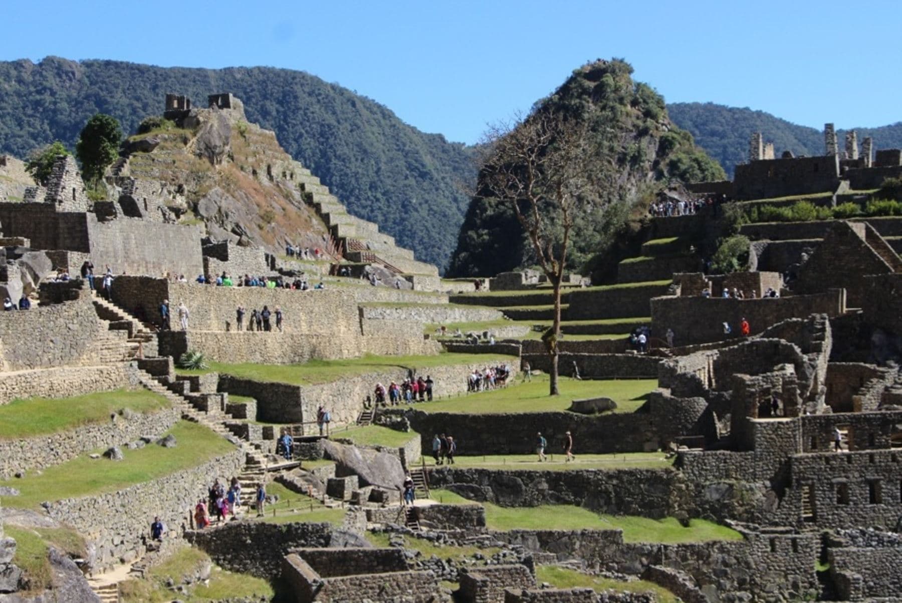 Legado e identidad: principales aportes de la cultura inca vigentes en la actualidad