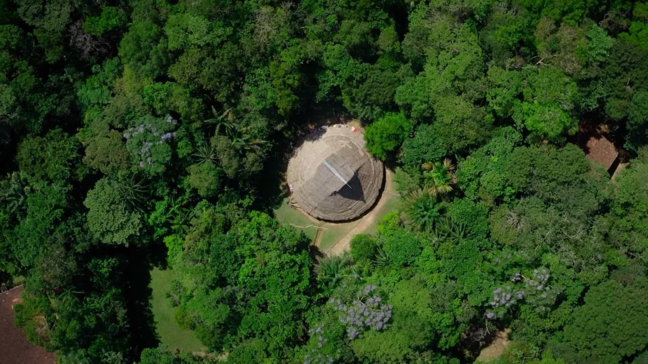 Colombia cambia su mapa político: pueblos indígenas ya gobiernan la Amazonía