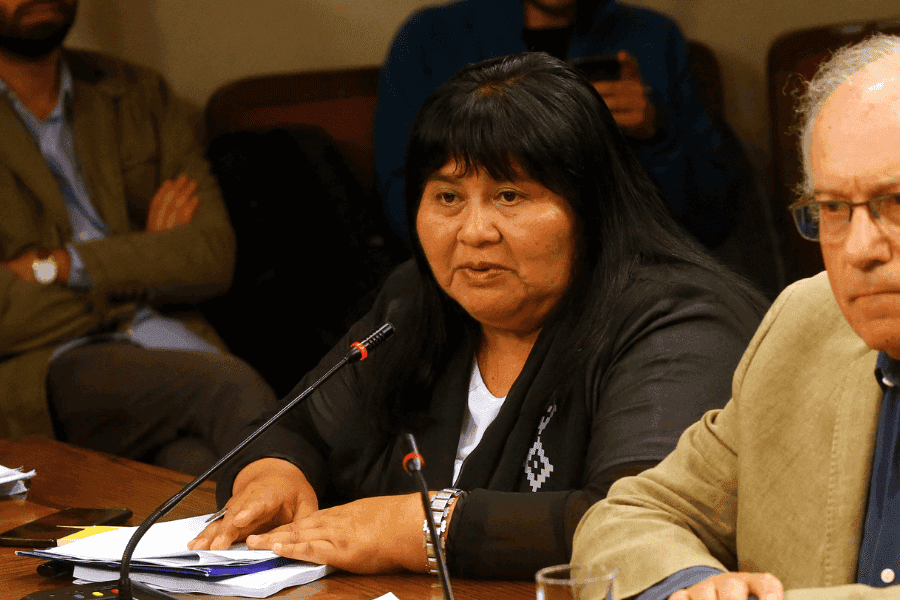 Diputado Nuyado y recortes a políticas indígenas: “Buscan debilitar derechos adquiridos por los pueblos originarios”