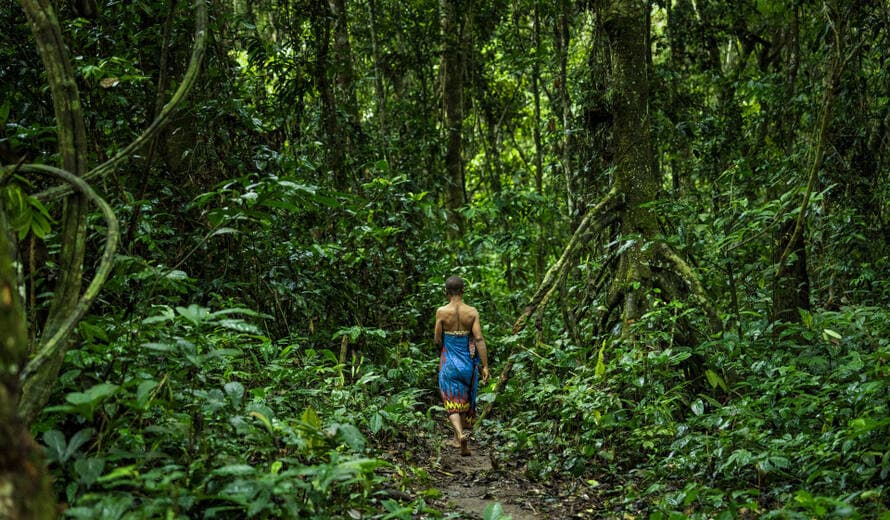 Funding opportunity: Support for Indigenous Peoples to attend the 48th session of the World Heritage Committee