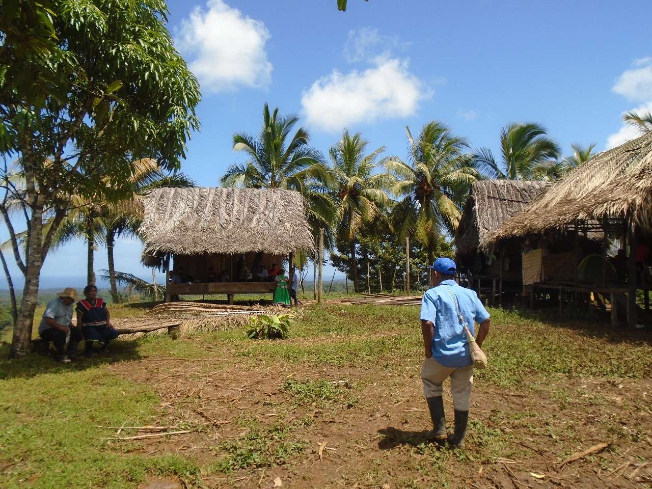 World Bank Will Investigate Whether Transmission Line Project in Panama Failed to Properly Consult Affected Indigenous Peoples