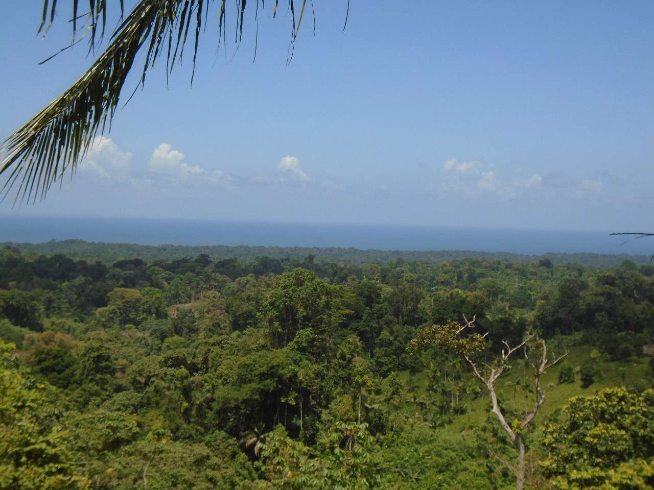 The International Community Calls On Panama to Strengthen Its Efforts to Guarantee Indigenous Peoples’ Rights