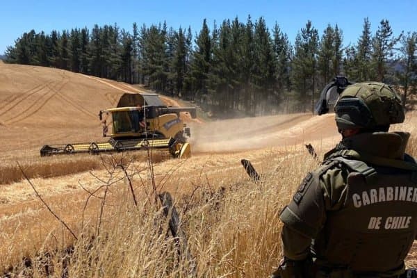 Nuevo ataque en Curacautín destruye maquinaria forestal a horas de que el Congreso prorrogara Estado de Excepción