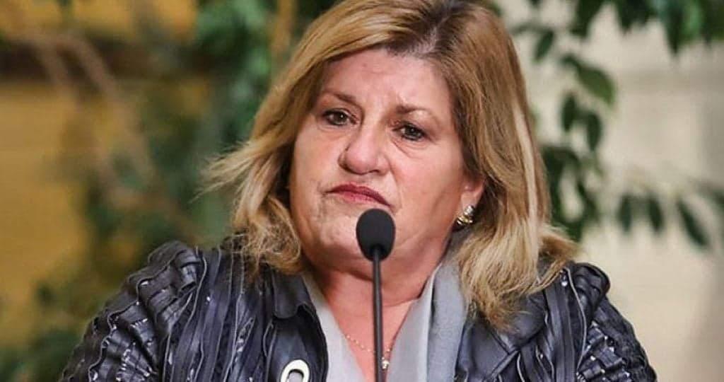 "Grave and Irresponsible": Concerns Raised About Gloria Naveillán Leading Human Rights Commission and Criticizing Indigenous Law