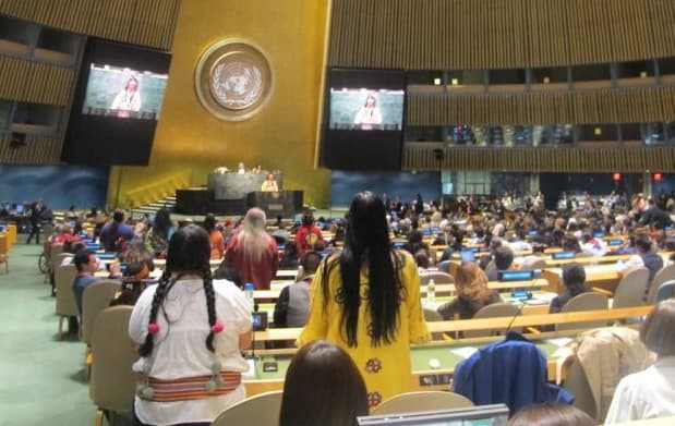 Foro Permanente sobre Cuestiones Indígenas. Evento paralelo "Presentación del Plan de Justicia del Pueblo Yaqui en México".