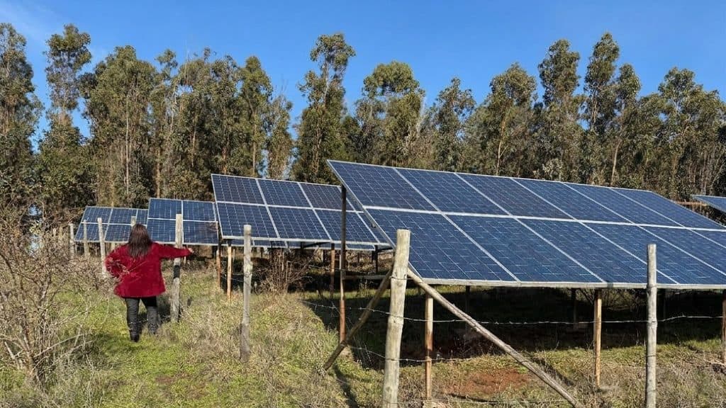CONADI ABRE CONVOCATORIA PARA FINANCIAR PROYECTOS AMBIENTALES DE COMUNIDADES INDÍGENAS EN CHILE