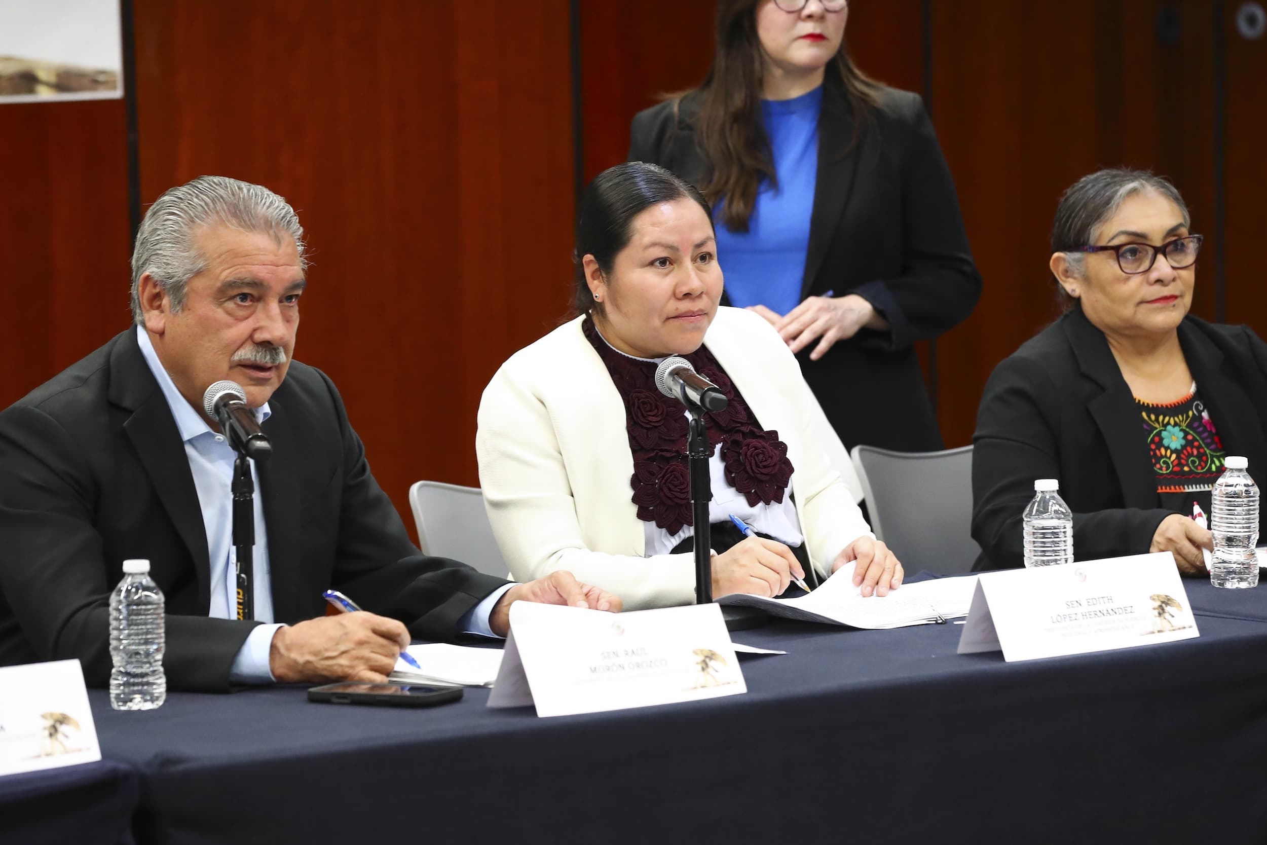 Reunión de las Comisiones Unidas de Educación y de Pueblos Indígenas y Afromexicanos