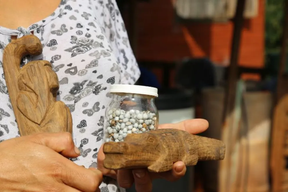 Semana de los Pueblos Originarios en el Parque del Conocimiento