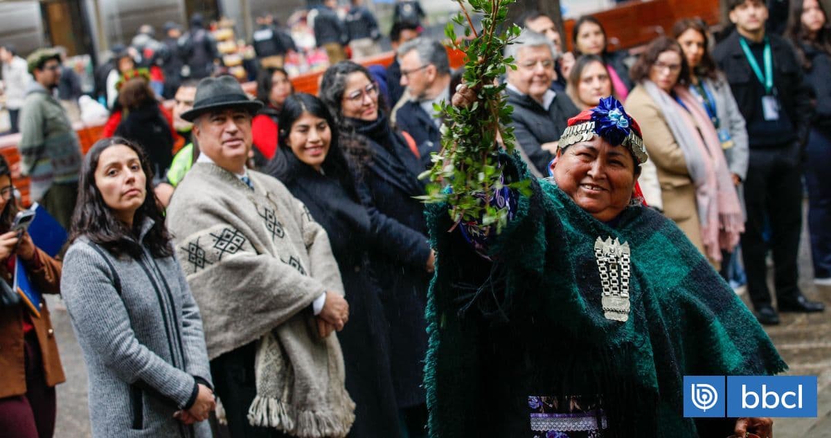 Con presencia de ministra Lincolao: Municipalidad de Santiago celebró a pueblos originarios