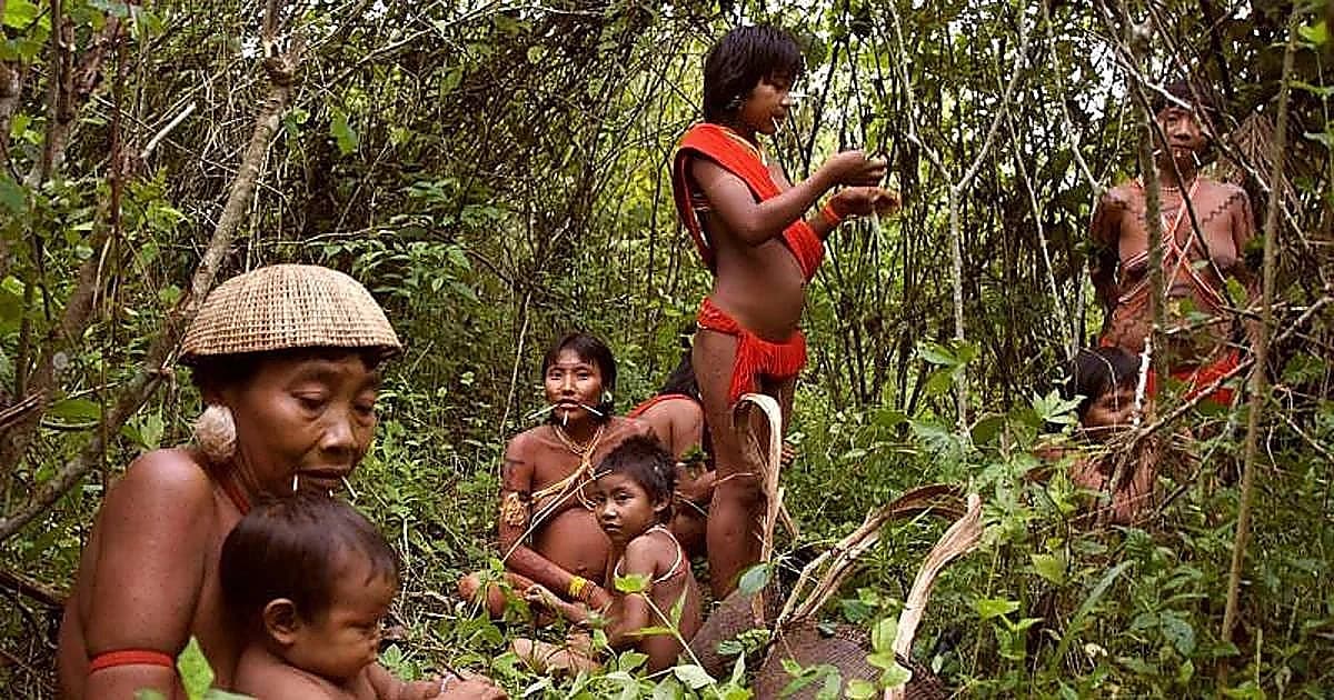 El ADN de los indígenas sudamericanos reescribe la historia de cómo llegamos al Nuevo Mundo