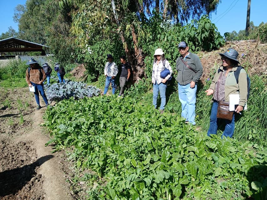 Tras encuentro nacional, Plataforma de Suelos exige al Estado impulsar la agroecología y garantizar derechos indígenas