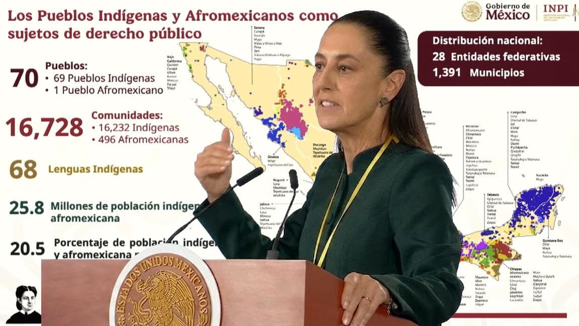 Ley de Derechos de los Pueblos Indígenas... ¿Cuáles son los 8 puntos de esta iniciativa?