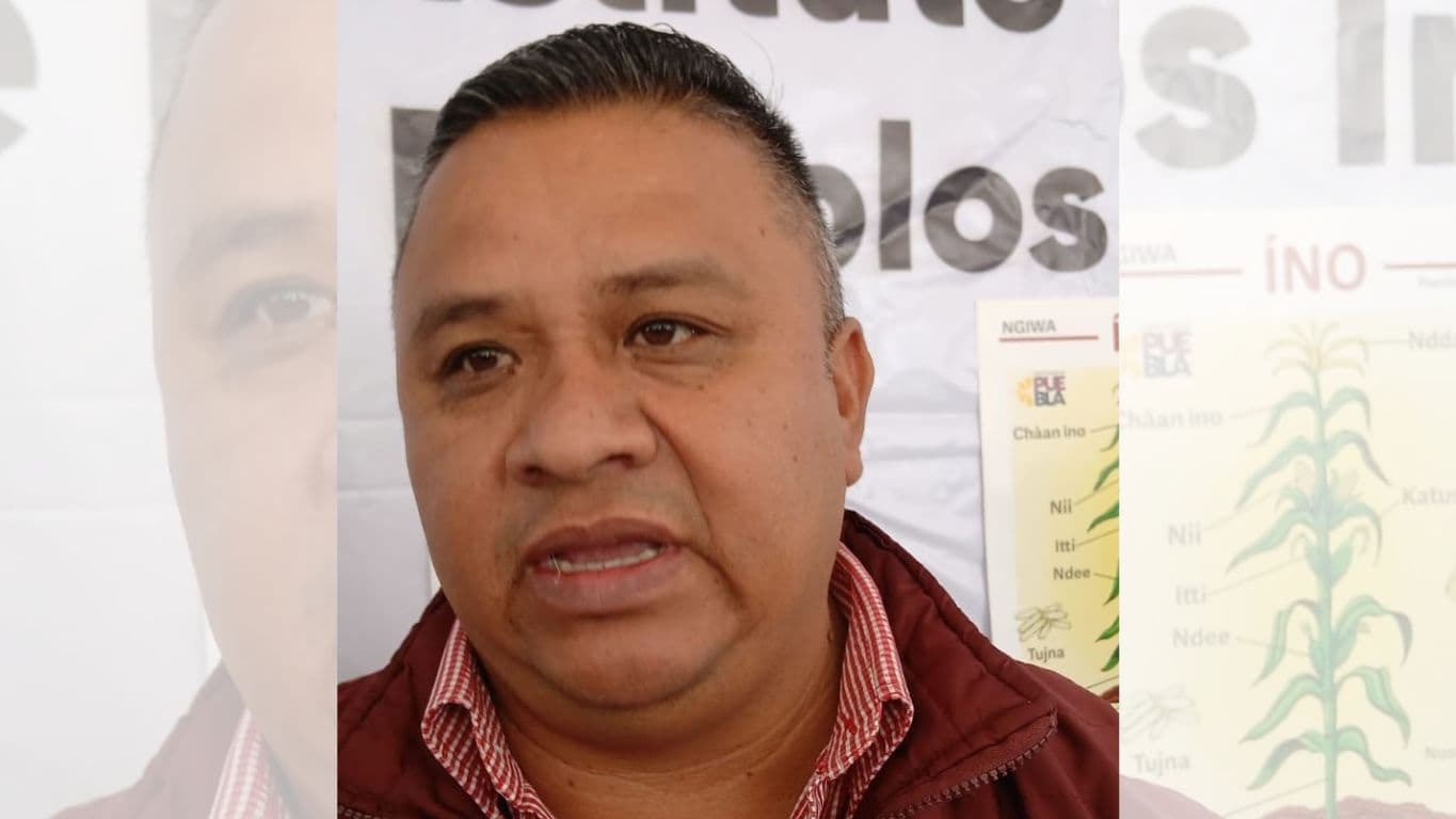 IPPI lanzará convocatorias para rescatar lenguas indígenas, medicina tradicional y gastronomía ancestral