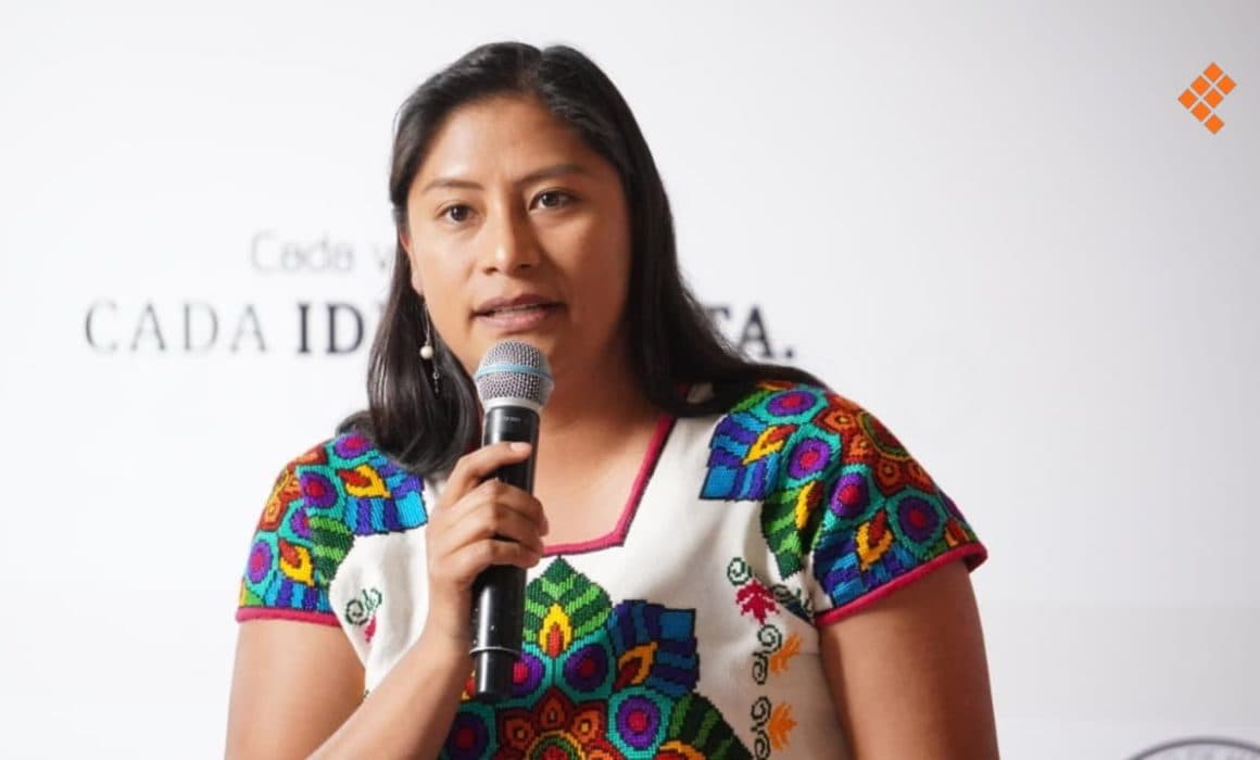 Cuestiona senadora Celeste Ascencio simulación en representación indígena