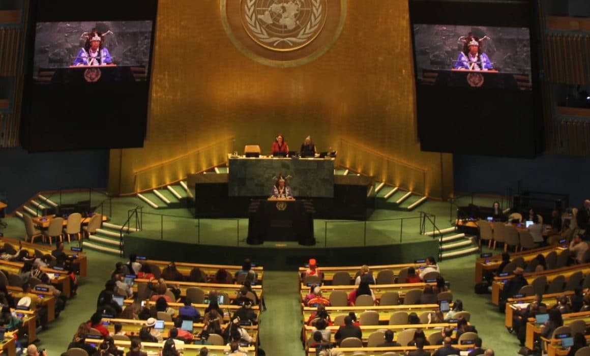 Elevan pueblos indígenas su voz por la salud en la ONU