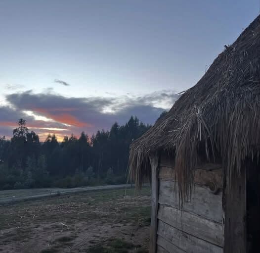 Nación Mapuche. Entrevista a Nilda Ancapi de la Comunidad Cacique Sebastián Loncochino, Lof Pilpilcawin